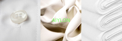 AIYLON COMPANY LIMITED Perfil de la empresa